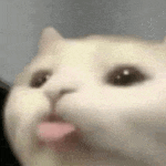 Random GIF